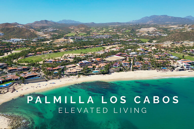 los cabos palmilla