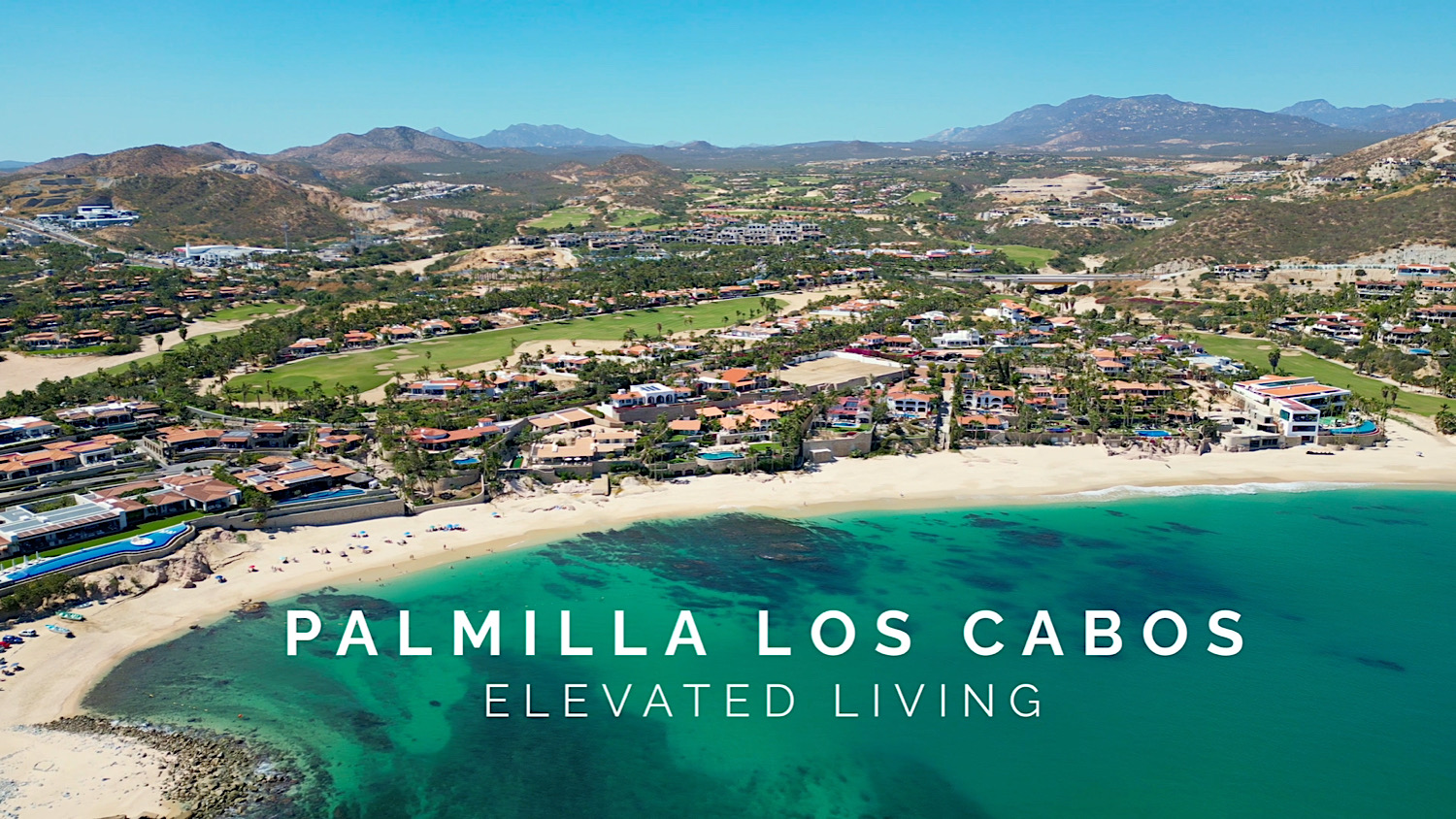 los cabos palmilla