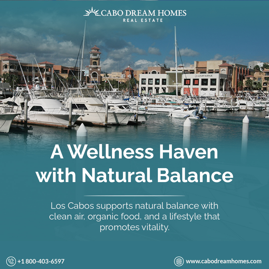 cabo dream homes